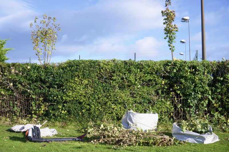 Hedge Installation